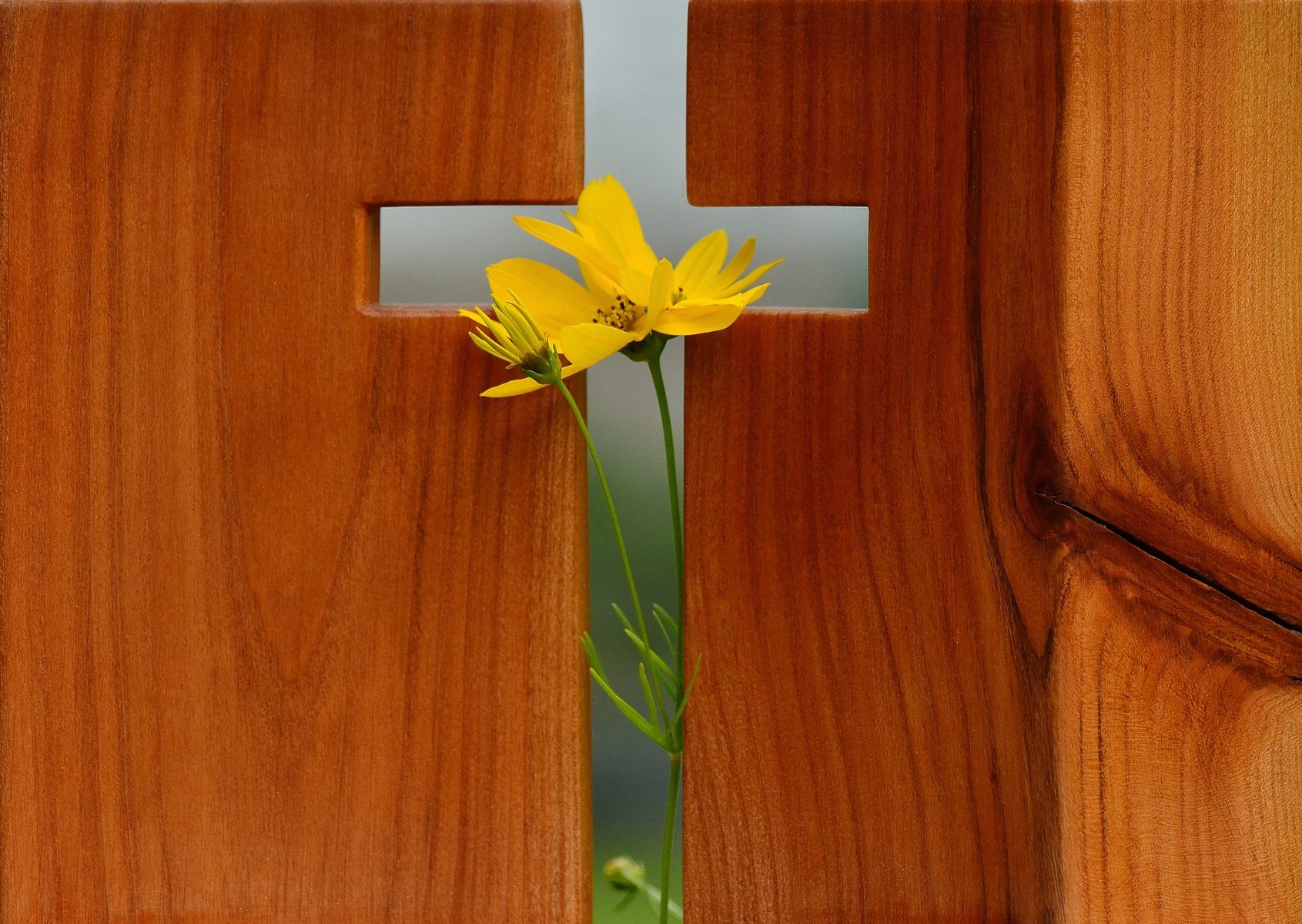 cropped-cross-1517094_1920-3 Vigile 42026 NDRM Paroisse HouillesCarrière